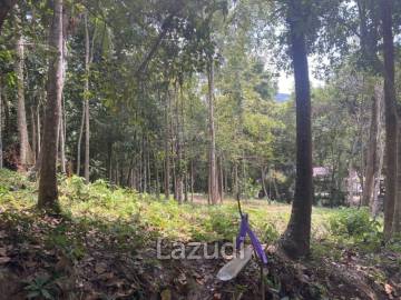Riverside Bliss: 1784 Sqm Land near Elephant Sanctuary, Temple, and Waterfall in Maduwan – A Tranquil Haven with Nature's Embrace