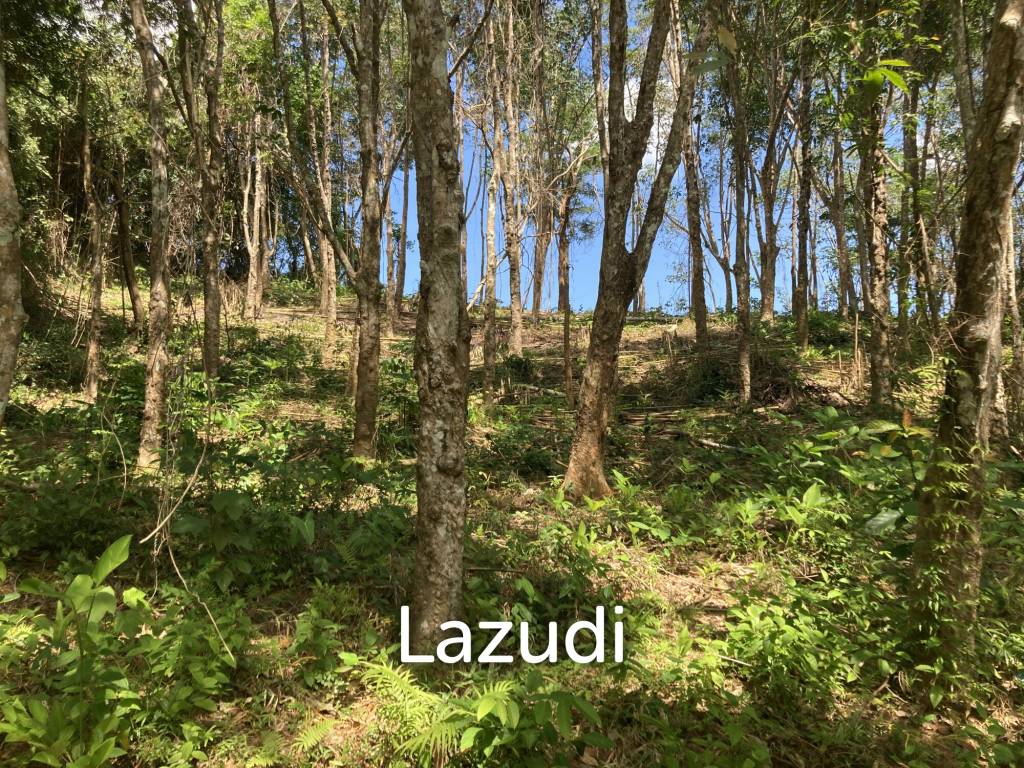 2,812 SQ.M. Land Near Near Bang Pae Waterfall For Sale