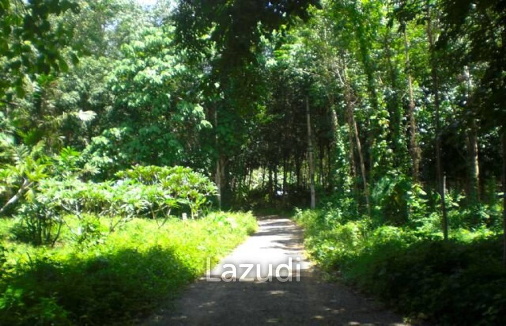 2,812 SQ.M. Land Near Near Bang Pae Waterfall For Sale