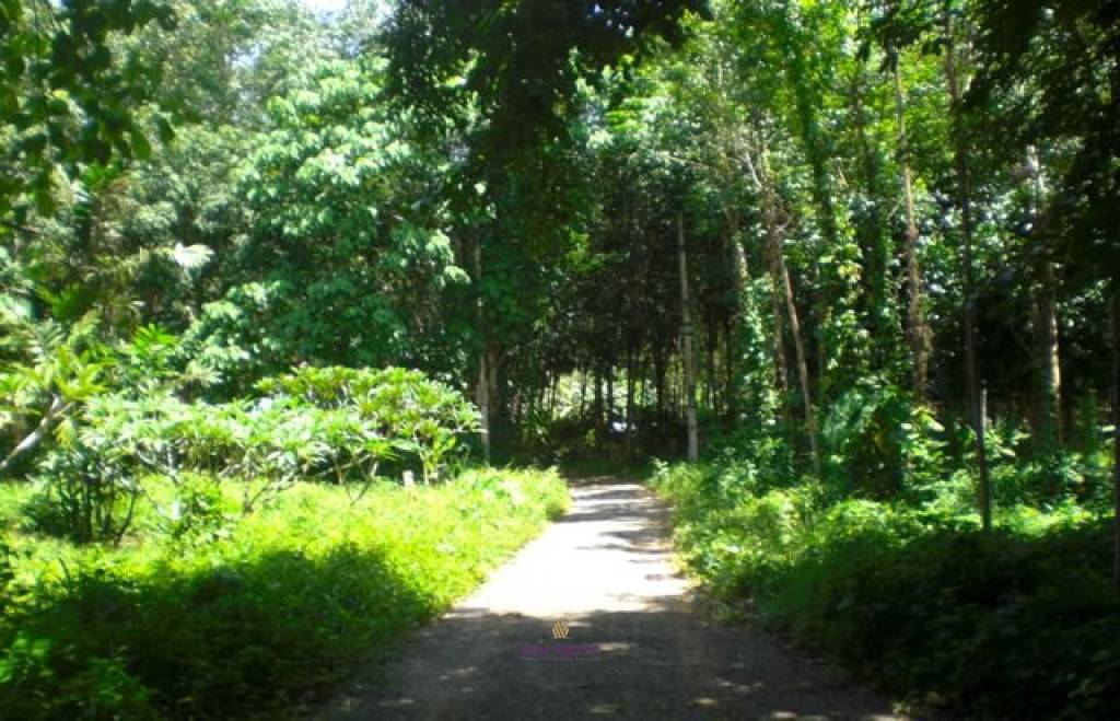 2,812 SQ.M. Land Near Near Bang Pae Waterfall For Sale