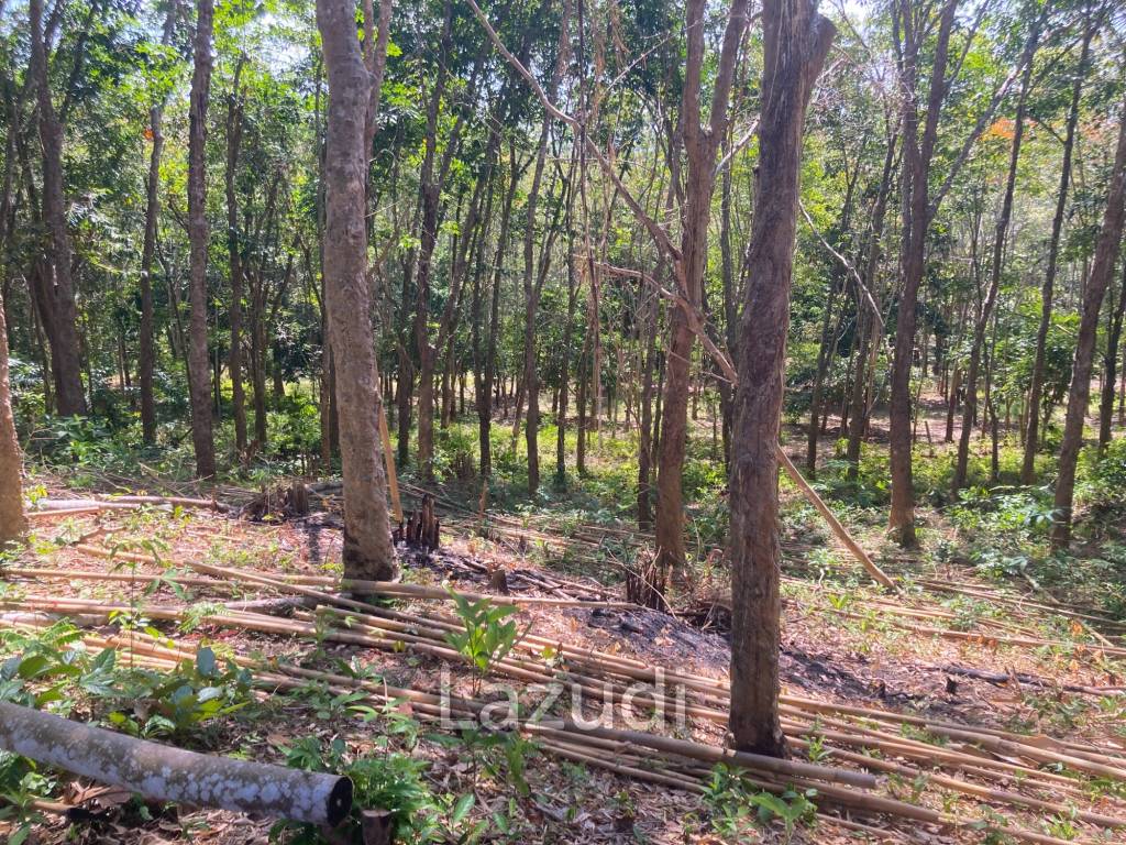 2,812 SQ.M. Land Near Near Bang Pae Waterfall For Sale