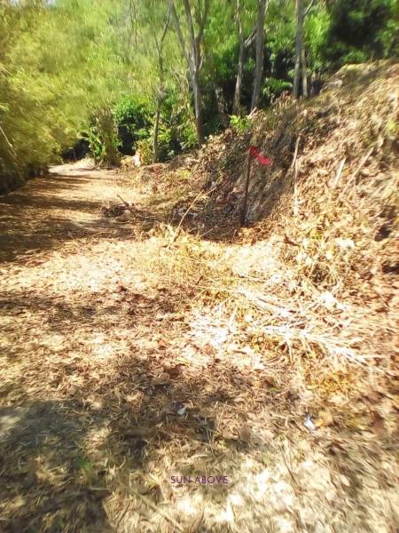 Prime 6,492 SQ.M. Land For Sale In Pa Tong