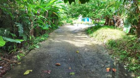 Prime 6,492 SQ.M. Land For Sale In Pa Tong