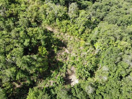 Prime 6,492 SQ.M. Land For Sale In Pa Tong