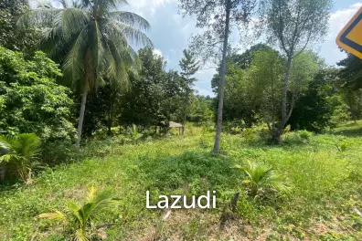 Tranquil Oasis: Riverside 2280 Sqm Plot Divided into Four Parcels in Haad Salad, Koh Phangan - Sale Includes Thai Company for Seamless Acquisition