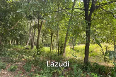Tranquil Oasis: Riverside 2280 Sqm Plot Divided into Four Parcels in Haad Salad, Koh Phangan - Sale Includes Thai Company for Seamless Acquisition