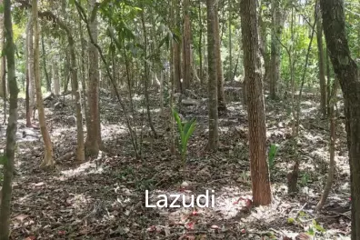 Tranquil Oasis: Riverside 2280 Sqm Plot Divided into Four Parcels in Haad Salad, Koh Phangan - Sale Includes Thai Company for Seamless Acquisition