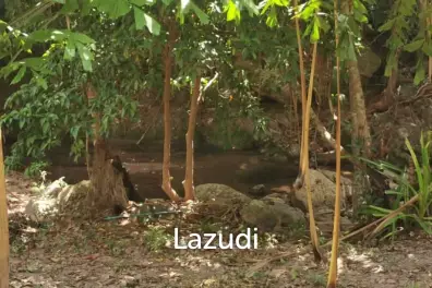 Tranquil Oasis: Riverside 2280 Sqm Plot Divided into Four Parcels in Haad Salad, Koh Phangan - Sale Includes Thai Company for Seamless Acquisition