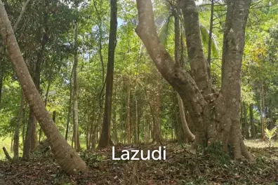 Tranquil Oasis: Riverside 2280 Sqm Plot Divided into Four Parcels in Haad Salad, Koh Phangan - Sale Includes Thai Company for Seamless Acquisition