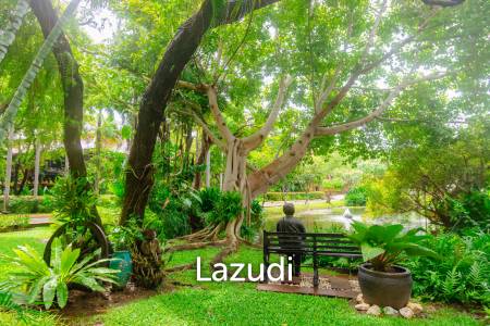 Large Absolute Beachfront Penthouse With Mesmerizing Ocean Views