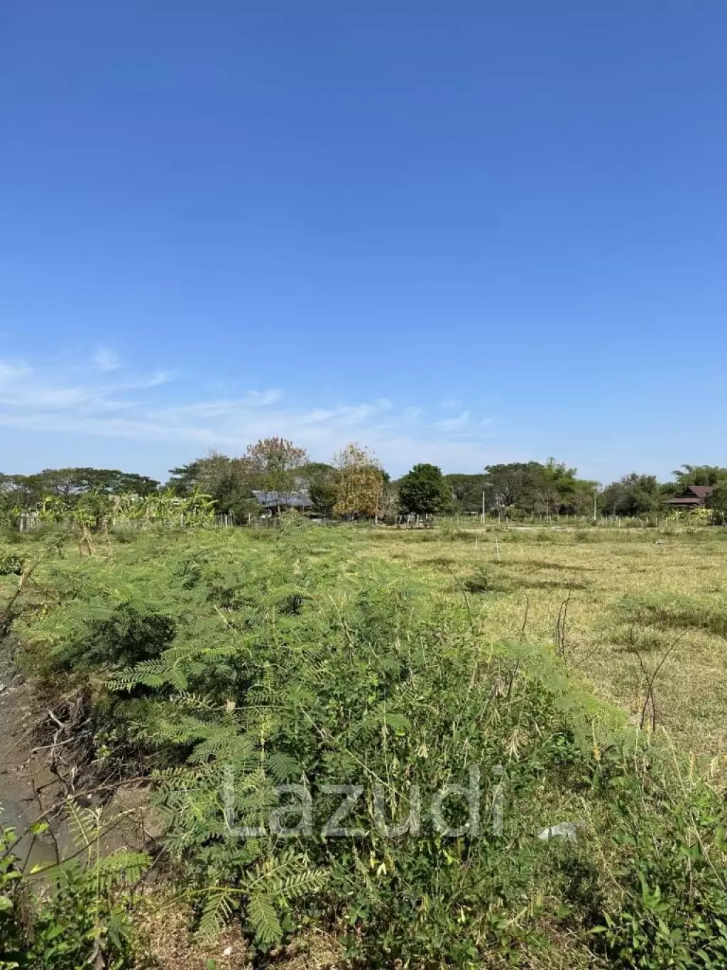 16 Rai Exclusive Freehold Land in San Kamphaeng, Chiang Mai