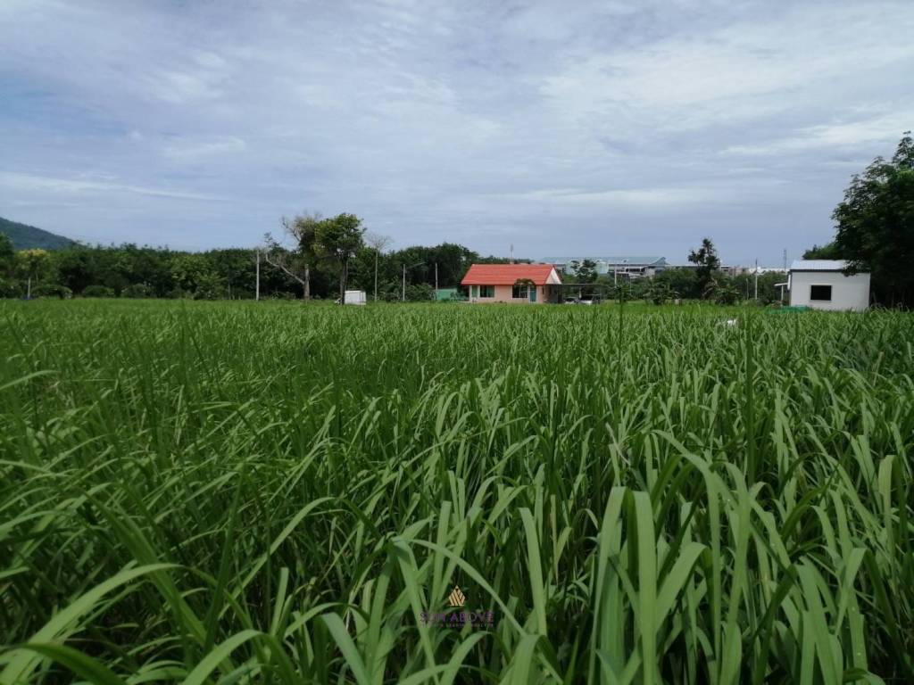 4,800 SQ.M. Land For Sale Near Phuket International Airport