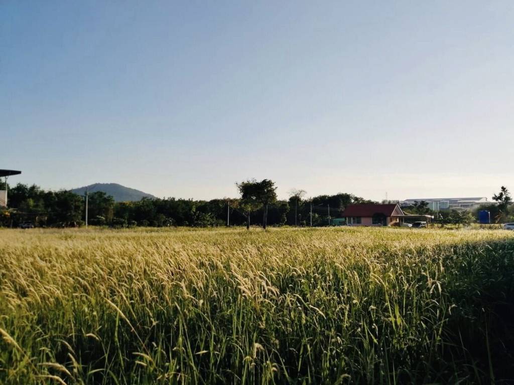 4,800 SQ.M. Land For Sale Near Phuket International Airport 4,800 SQ.M. Land For Sale Near Phuket International Airport