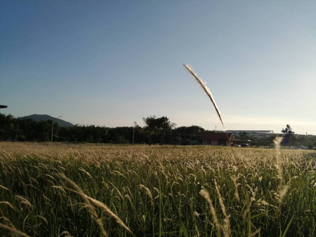 4,800 SQ.M. Land For Sale Near Phuket International Airport 4,800 SQ.M. Land For Sale Near Phuket International Airport