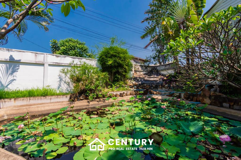 6,200 ตร.ม 11 เตียง โรงแรม For ขาย