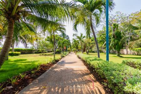 Life style resort with 4 guest villas in Cha am city.