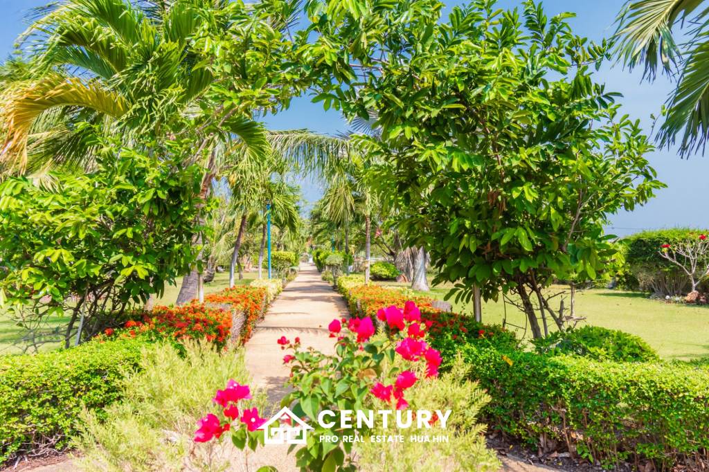 6,200 ตร.ม 11 เตียง โรงแรม For ขาย