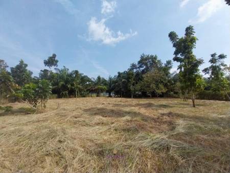 Land Plot For Sale @ Loch Palm Golf Course