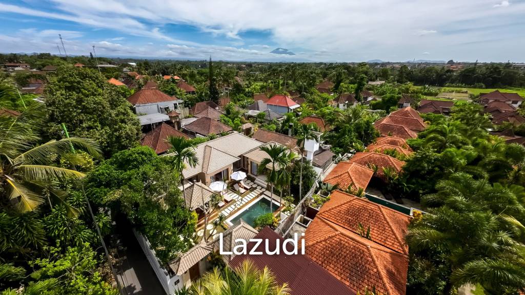 Perfect Investment in Ubud