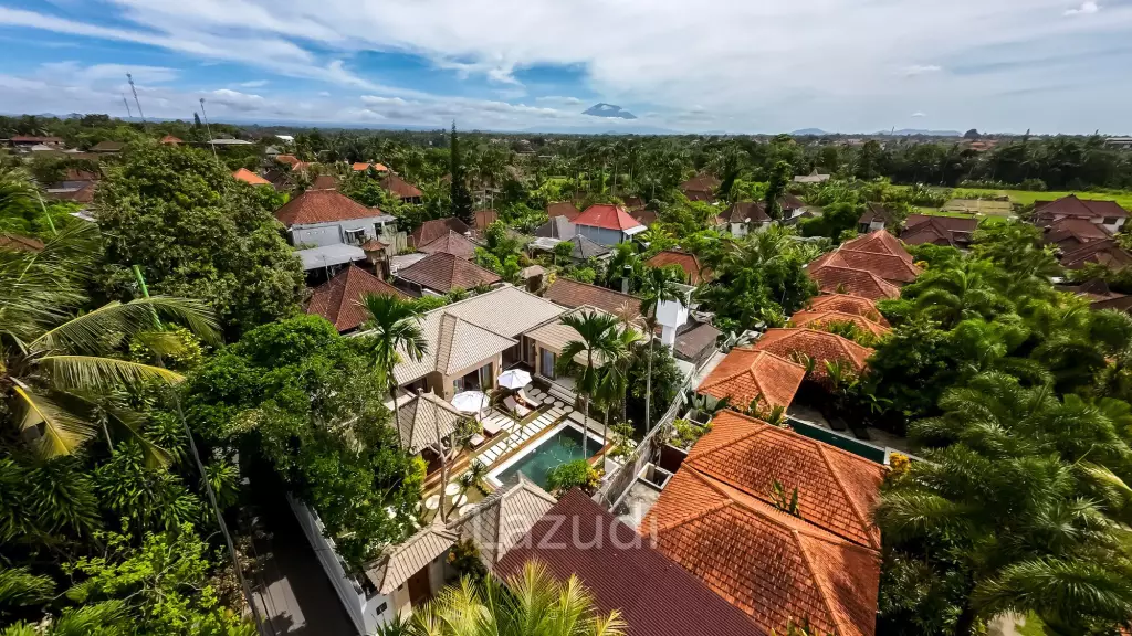 Perfect Investment in Ubud