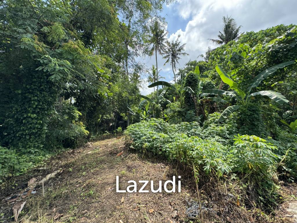 LEASEHOLD RESIDENTIAL LAND OFFERING IN MENGWI: EXPANSIVE AND ACCESSIBLE