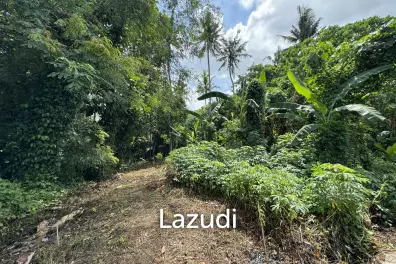 LEASEHOLD RESIDENTIAL LAND OFFERING IN MENGWI: EXPANSIVE AND ACCESSIBLE