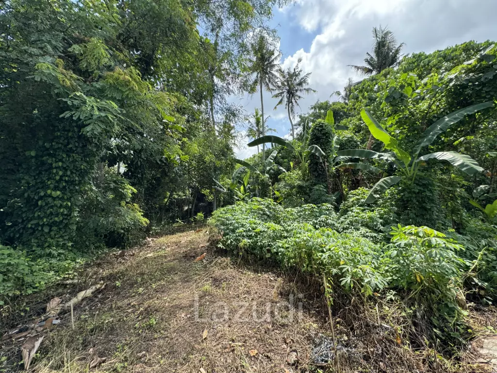 LEASEHOLD RESIDENTIAL LAND OFFERING IN MENGWI: EXPANSIVE AND ACCESSIBLE