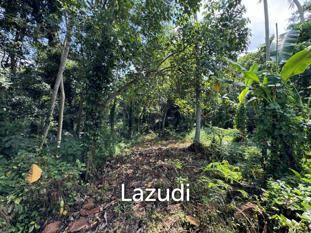 LEASEHOLD RESIDENTIAL LAND OFFERING IN MENGWI: EXPANSIVE AND ACCESSIBLE