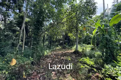 LEASEHOLD RESIDENTIAL LAND OFFERING IN MENGWI: EXPANSIVE AND ACCESSIBLE
