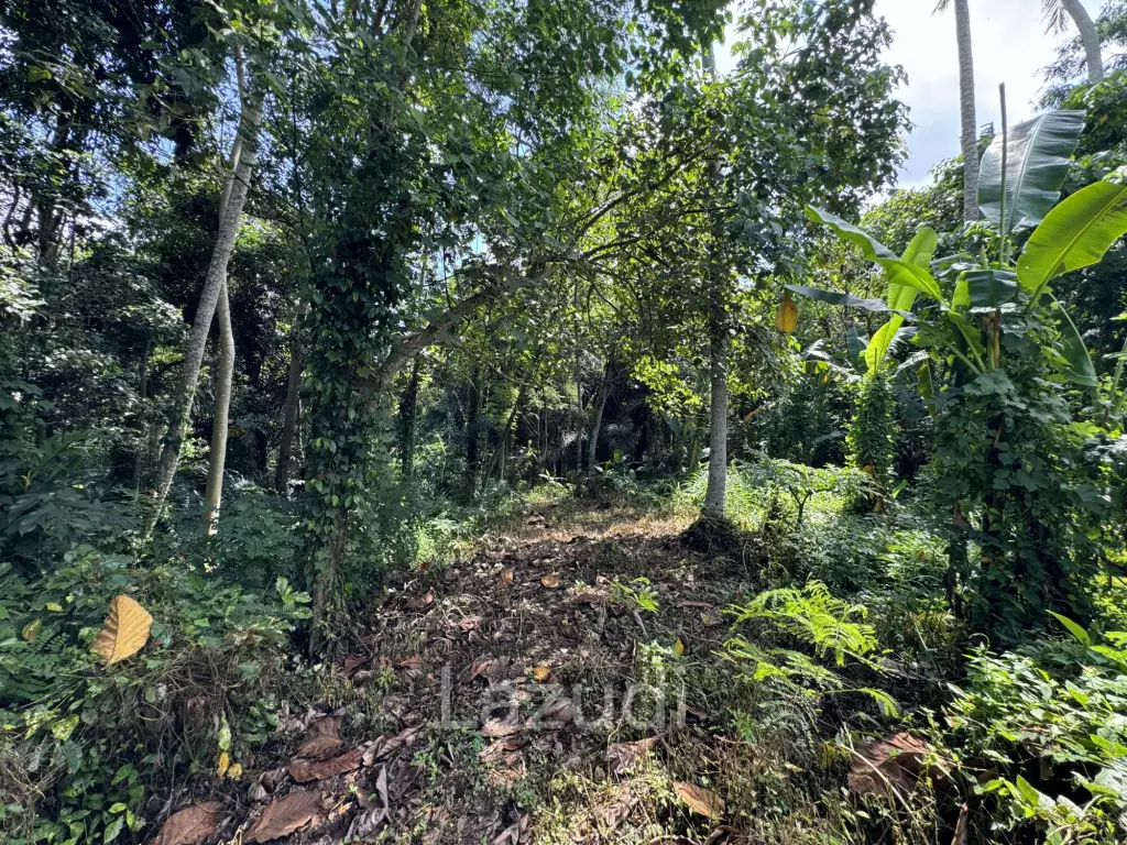 LEASEHOLD RESIDENTIAL LAND OFFERING IN MENGWI: EXPANSIVE AND ACCESSIBLE