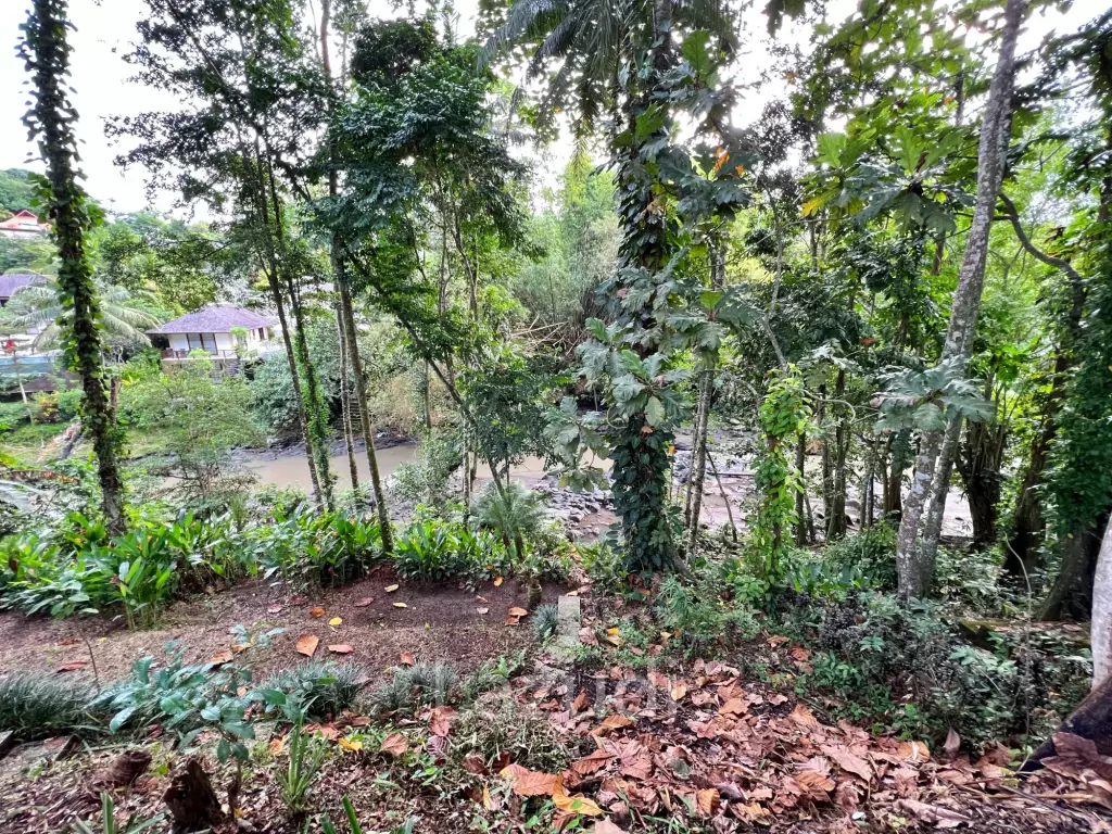 TRANQUIL RIVERSIDE RETREAT IN NYANYI: A PANORAMIC LAND OFFERING