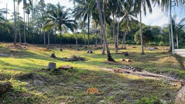 Serene Land Plot in Mae Nam, Ko Samui for Sale