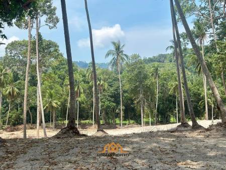 Maenam Soi 1 land for sale 800sqm-1200sqm