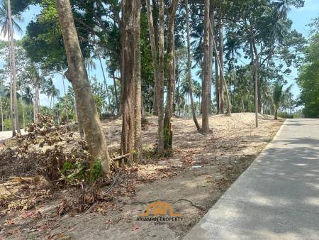 Maenam Soi 1 land for sale 800sqm-1200sqm