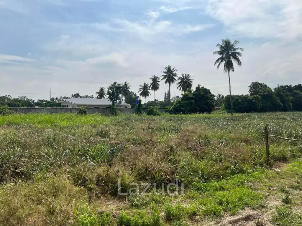 Prime Land For Sale : 9-2-98 Rai In Cha Am