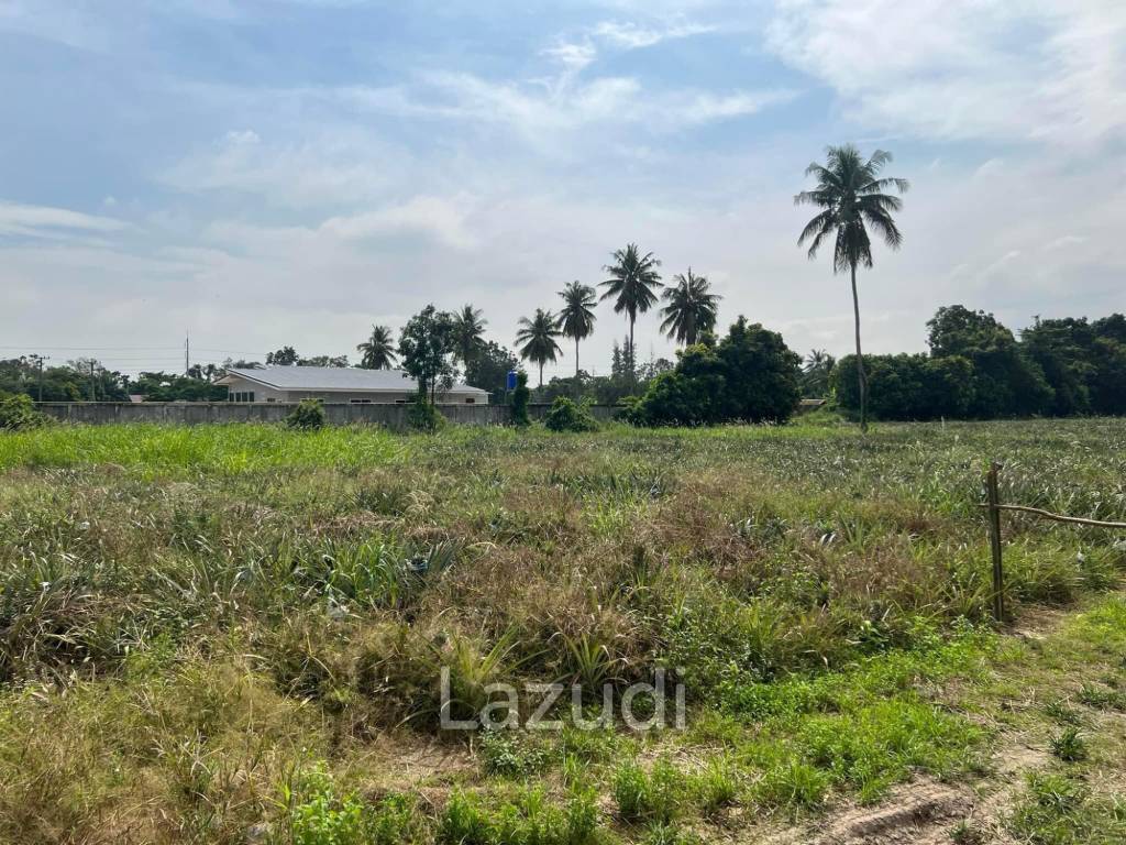 Prime Land For Sale : 9-2-98 Rai In Cha Am