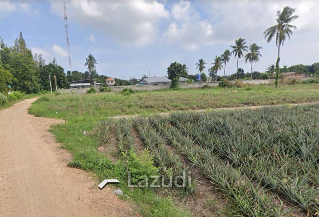 Prime Land For Sale : 9-2-98 Rai In Cha Am