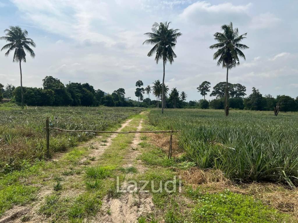 Prime Land For Sale : 9-2-98 Rai In Cha Am