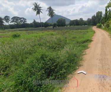 Prime Land For Sale : 9-2-98 Rai In Cha Am