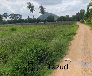 Prime Land For Sale : 9-2-98 Rai In Cha Am