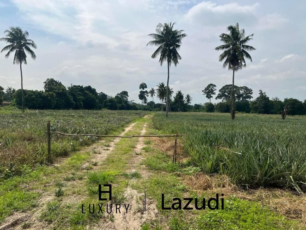 Prime Land For Sale : 15.592 sqm (9-2-98 Rai) In Cha Am