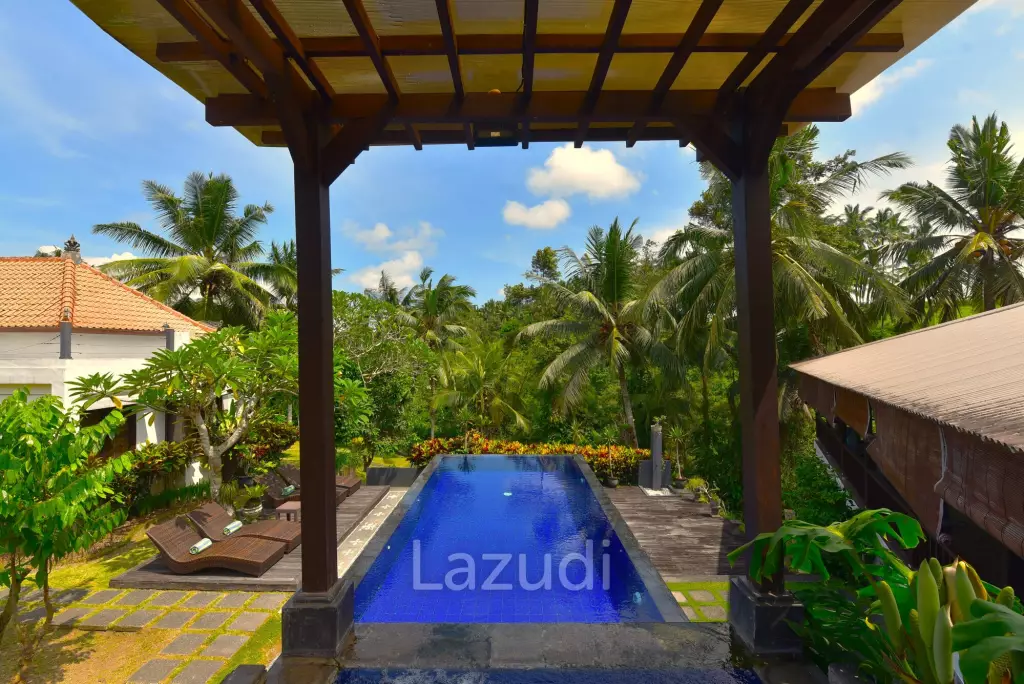 EXPANSIVE LUXURY LIVING: A HAVEN WITH JUNGLE AND RIVER VISTAS