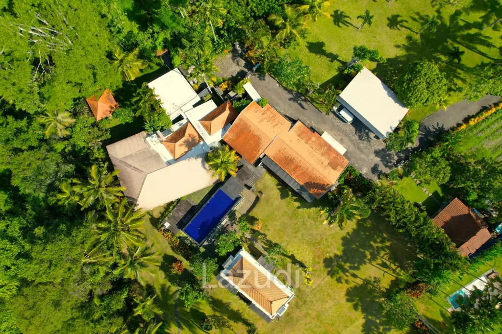 EXPANSIVE LUXURY LIVING: A HAVEN WITH JUNGLE AND RIVER VISTAS
