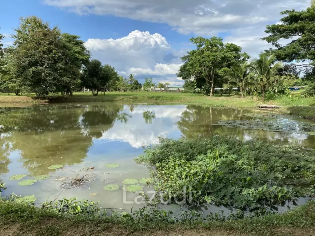 2 bedroom single storey house with pond on 6400m2 for sale
