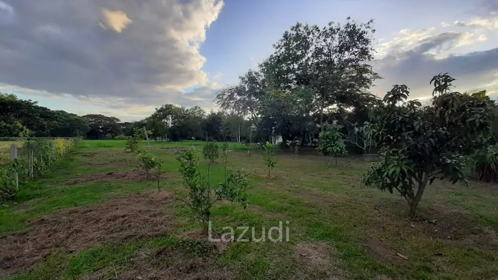 2 bedroom single storey house with pond on 6400m2 for sale