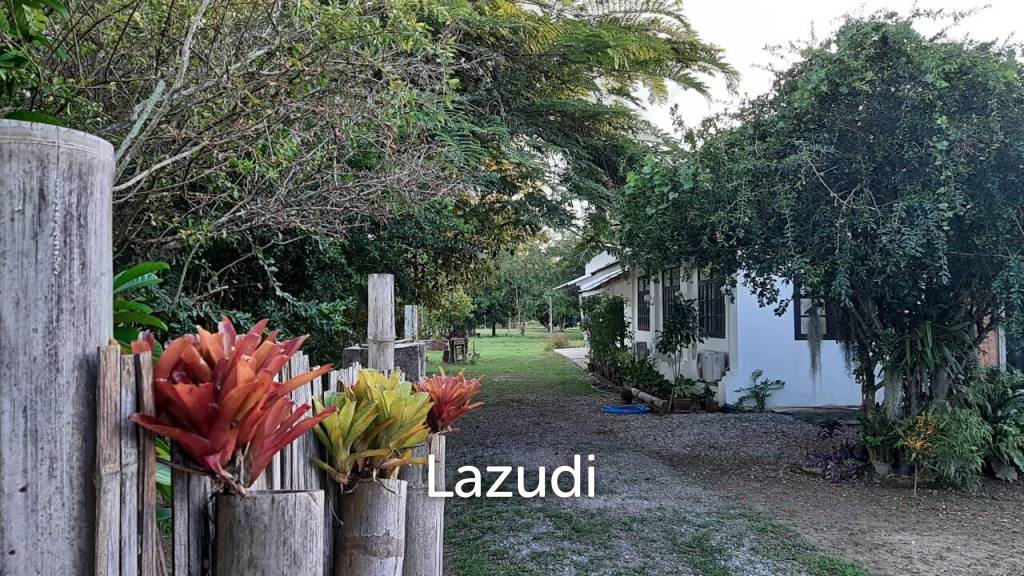 2 bedroom single storey house with pond on 6400m2 for sale