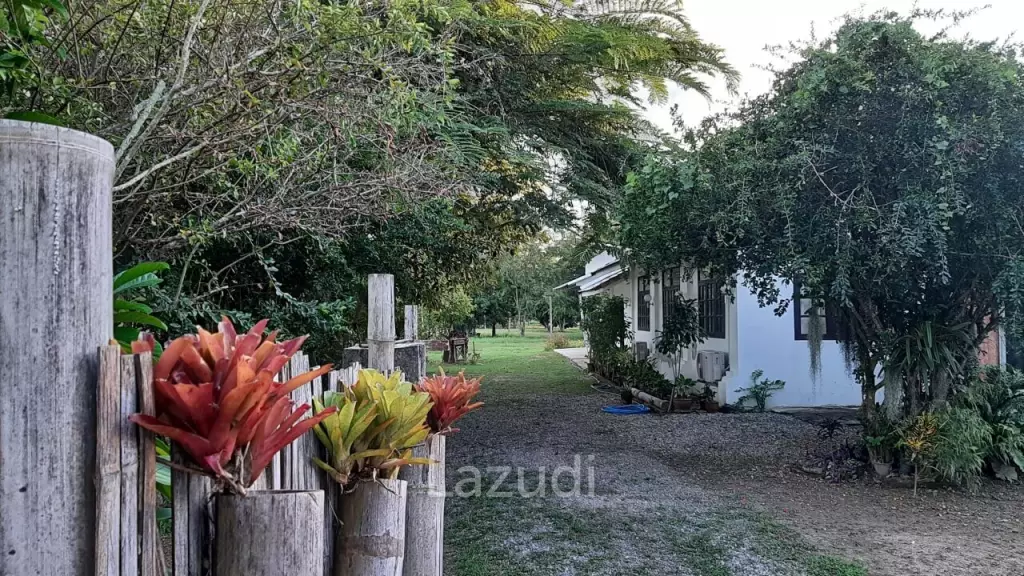 2 bedroom single storey house with pond on 6400m2 for sale