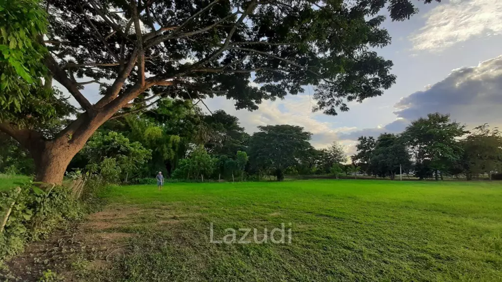 2 bedroom single storey house with pond on 6400m2 for sale