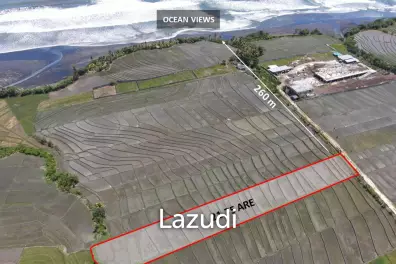 FREEHOLD LAND OFFERING STUNNING OCEAN AND SUNSET VIEWS IN TABANAN