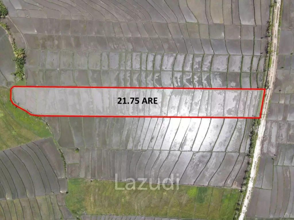 FREEHOLD LAND OFFERING STUNNING OCEAN AND SUNSET VIEWS IN TABANAN